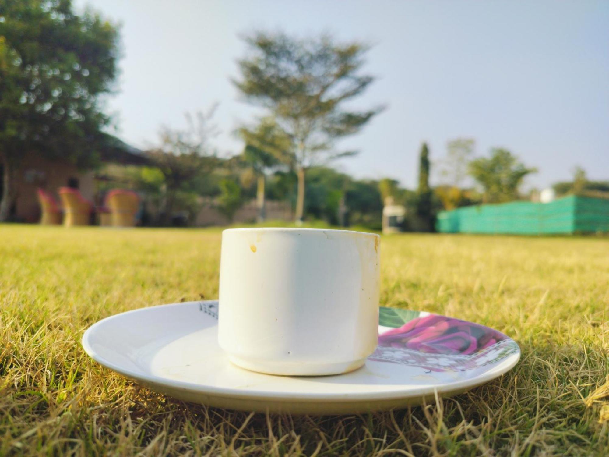 Pari Resort With Nature View 푸쉬카르 외부 사진